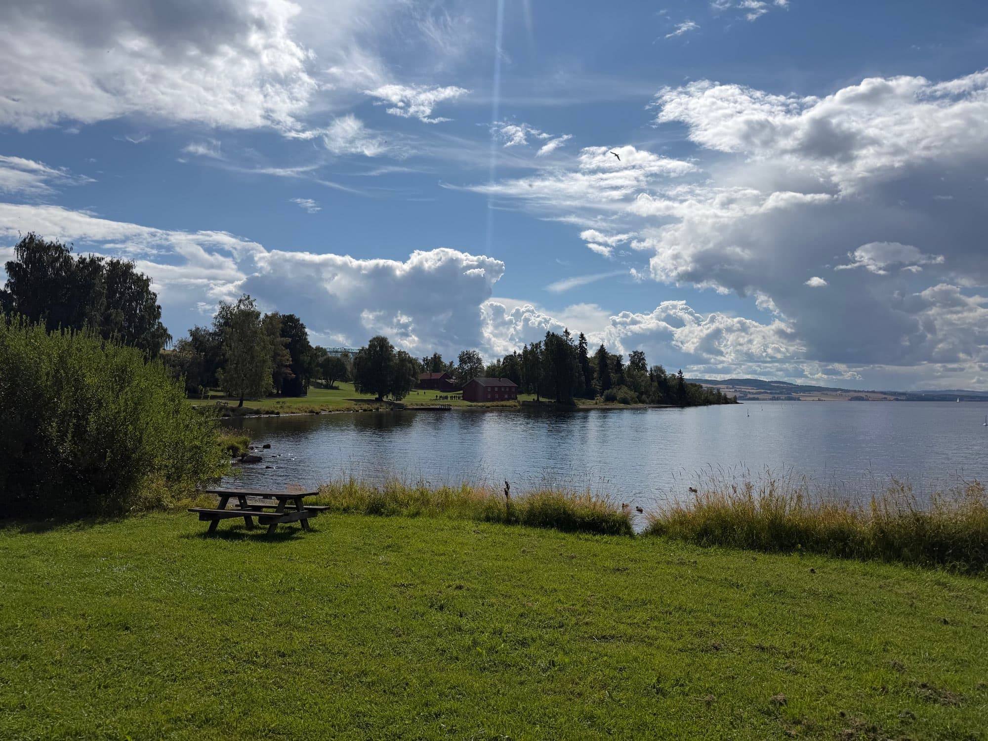 Mjøsa en sommerdag, sett fra en gresslette med et bord. På den andre siden ligger en odde med røde bygninger mellom trærne.